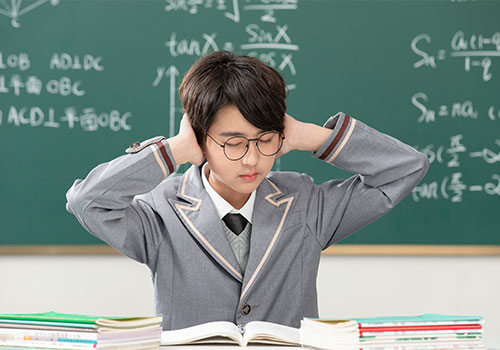 消失模振動(dòng)平臺(tái)專(zhuān)用松夏SHSOUNXIA橡膠氣體彈簧